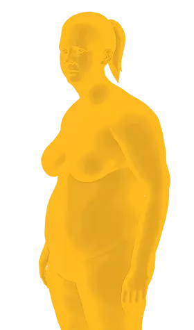 Resultado 6 meses